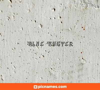 Blue Oyster